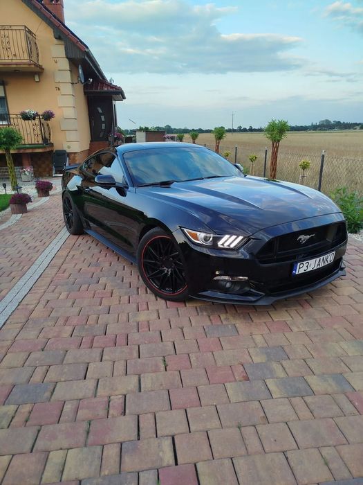 Ford Mustang Ford Mustang