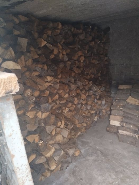 Drzewo dębowe sezonowane piec / kominek