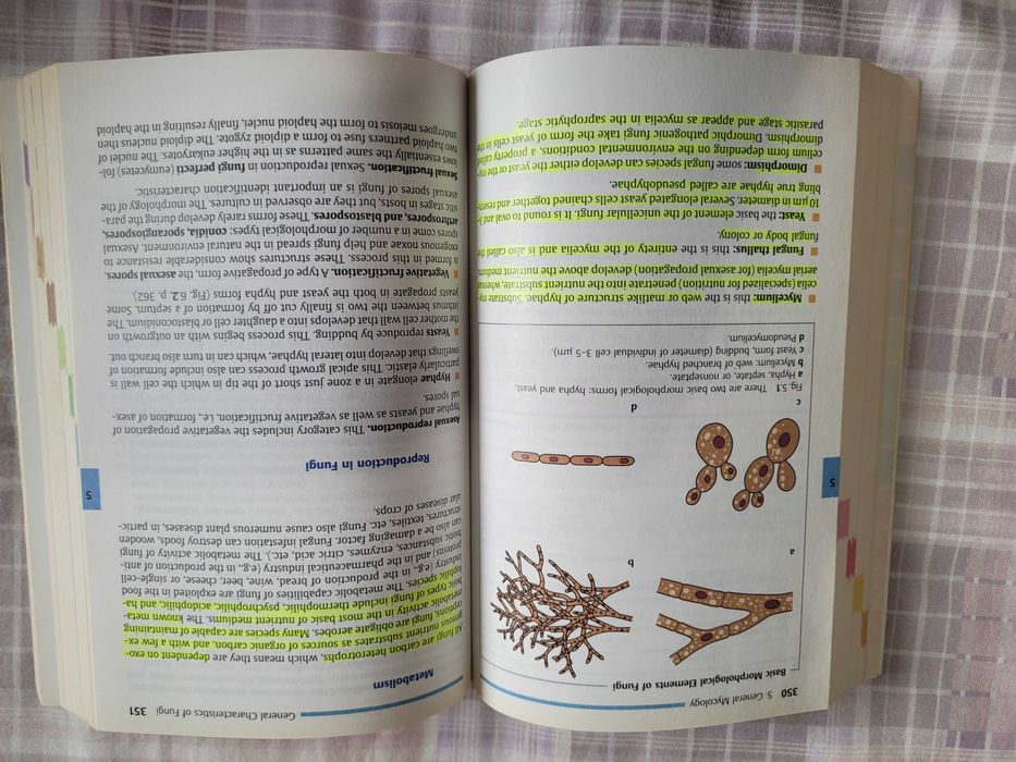 Livro Medicina Microbiologia "Color Atlas of Microbiology" da Thieme