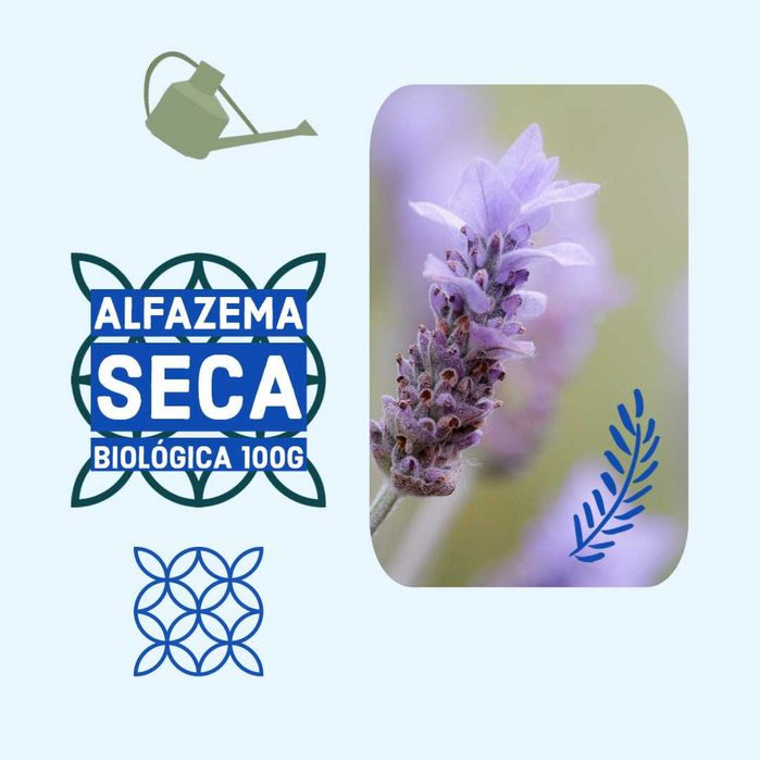 Alfazema seca portuguesa biológica saco 100g