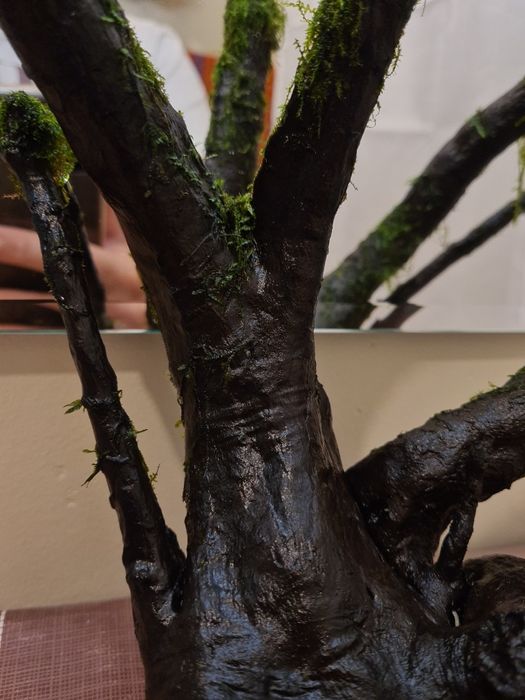 Korzeń Dark Wood z życiem, piękna tekstura drewna, doda uroku akwarium