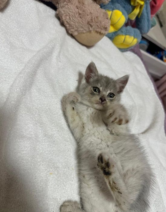 Хлопчик в хороші руки