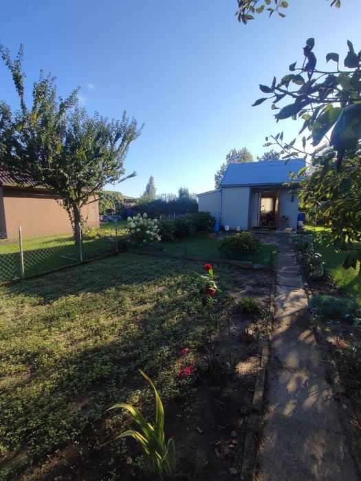 Ogłoszenia - Sprzedam, kupię na OLX.pl