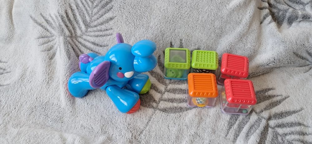 Sensoryczny słoń i kostki