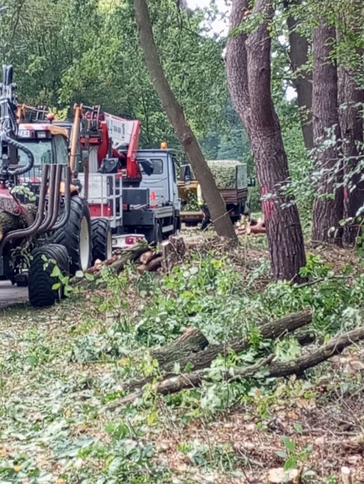 Wycinka drzew,karczowanie działek,rębak,zwyżka,drewno opałowe rozbiórk