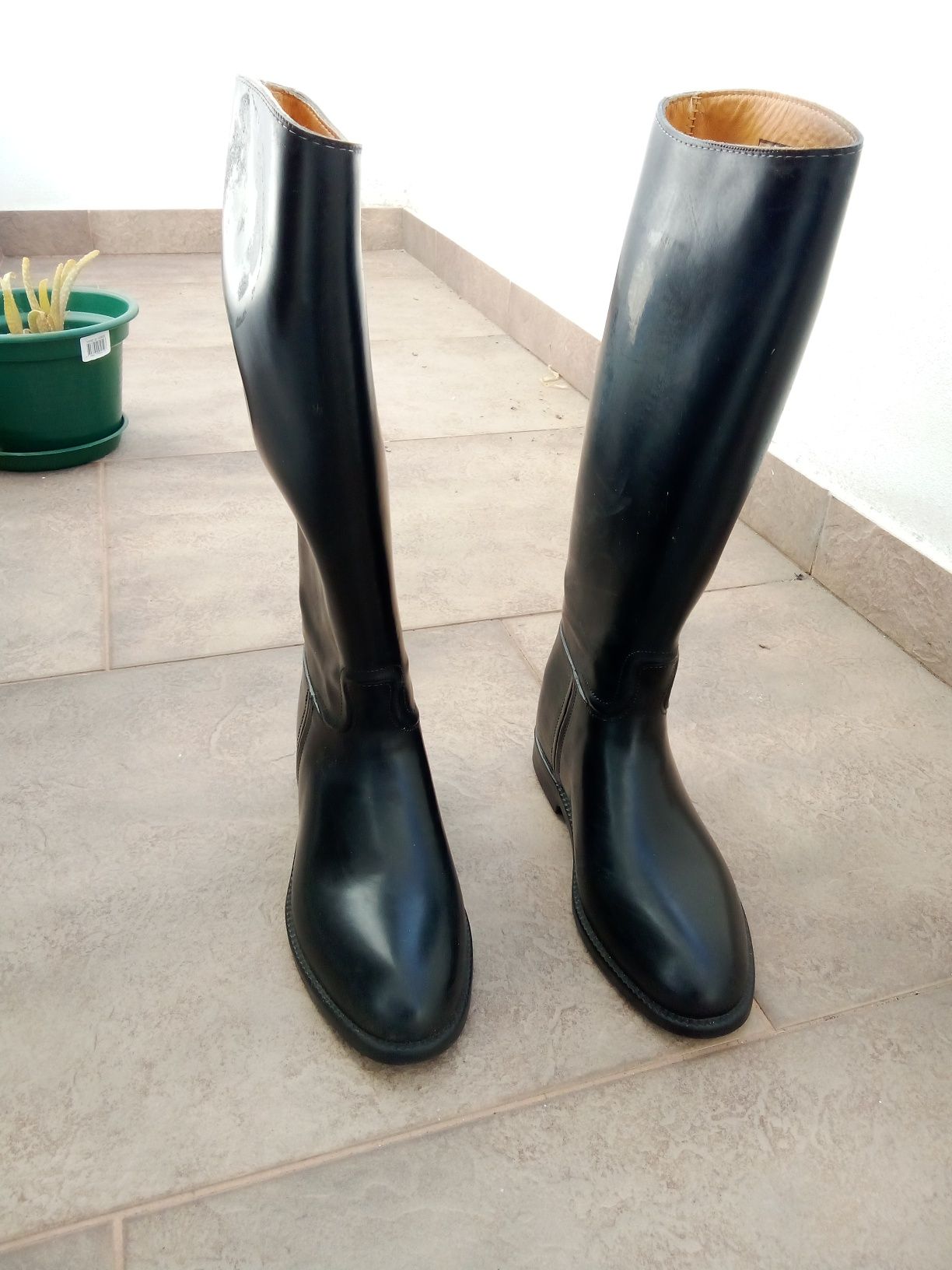 Botas de equitação da Aigle