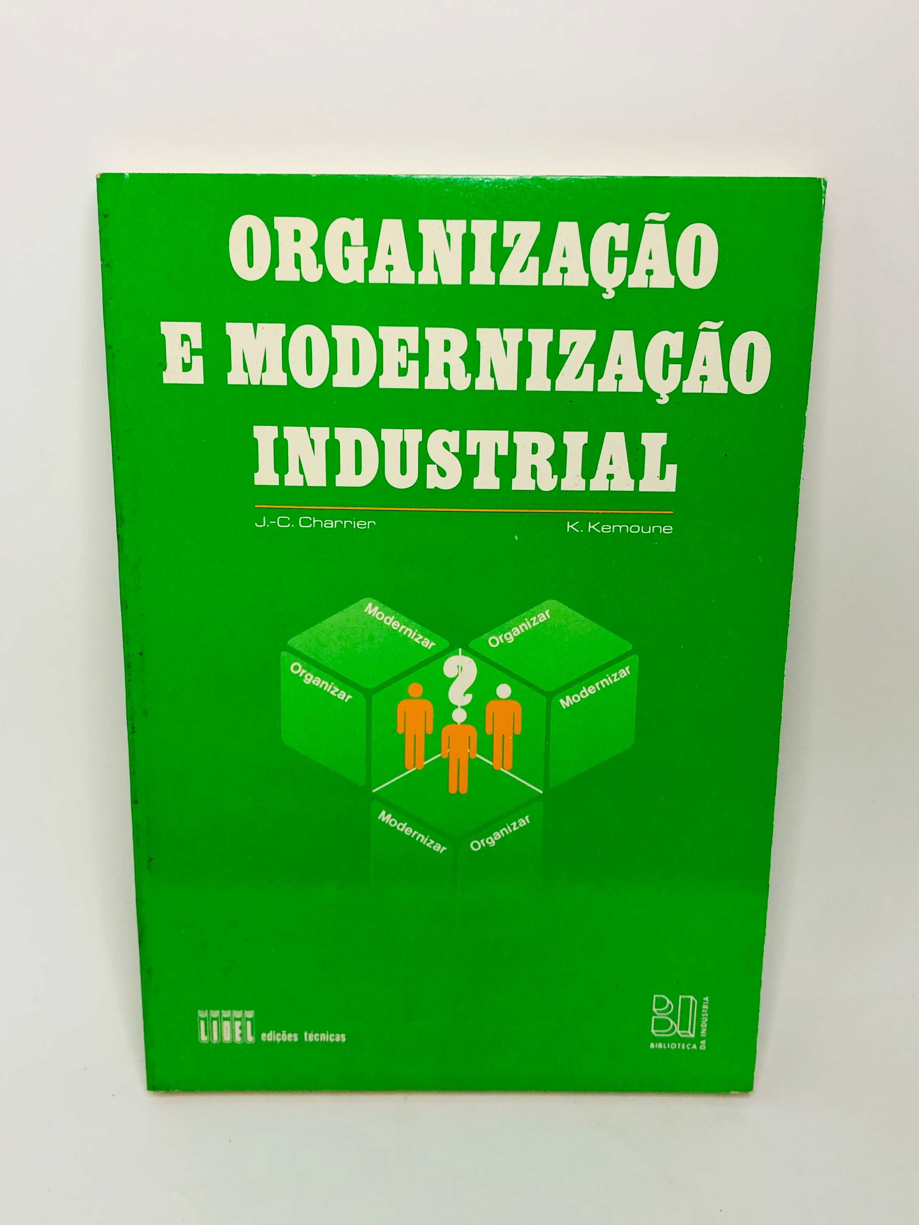 Organização e Modernização Industrial