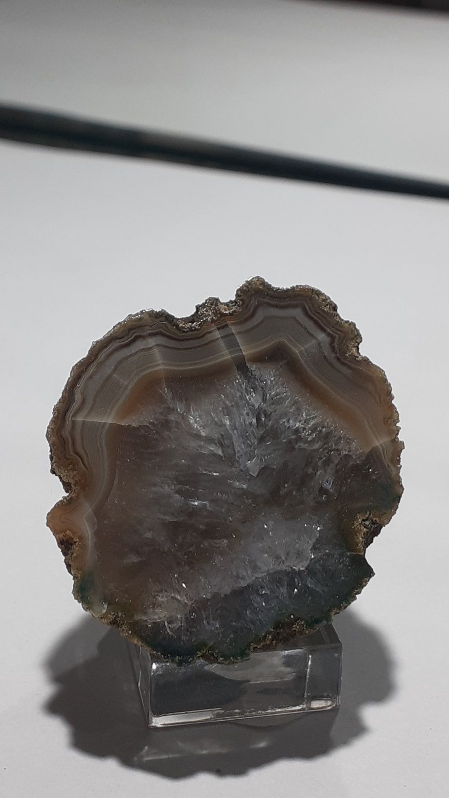 Prasiolit , Agat z prasiolitem z Polski. Mineral