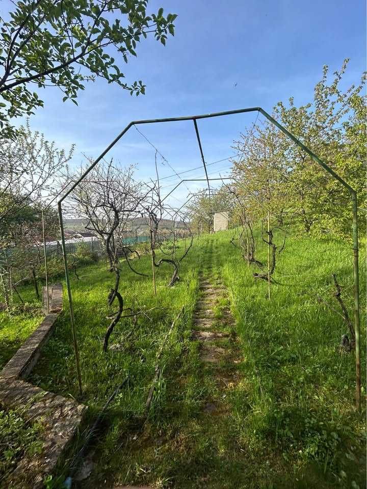 Продаж будинку, Закарпаття, Виноградів