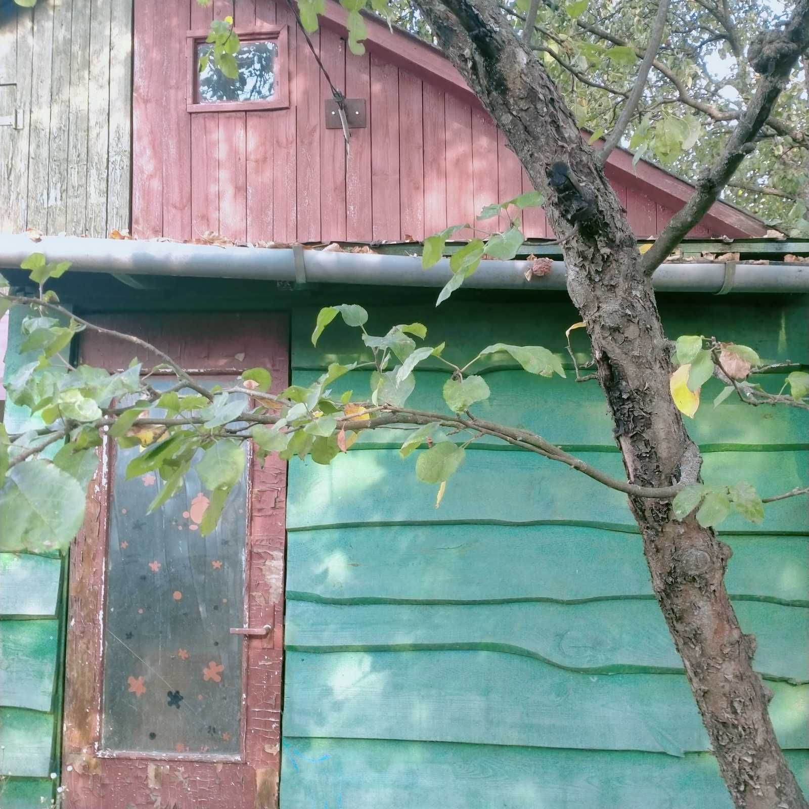 Дача в Кам'янському масиві.