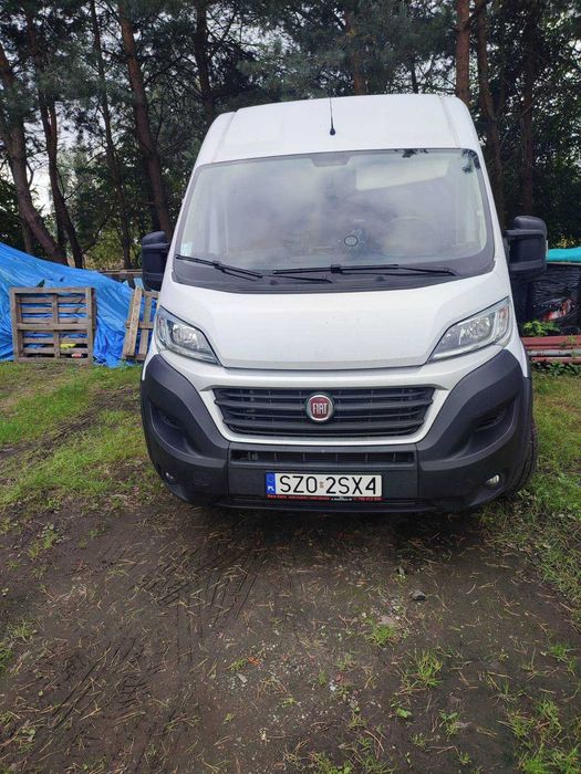 Fiat Ducato 2019
