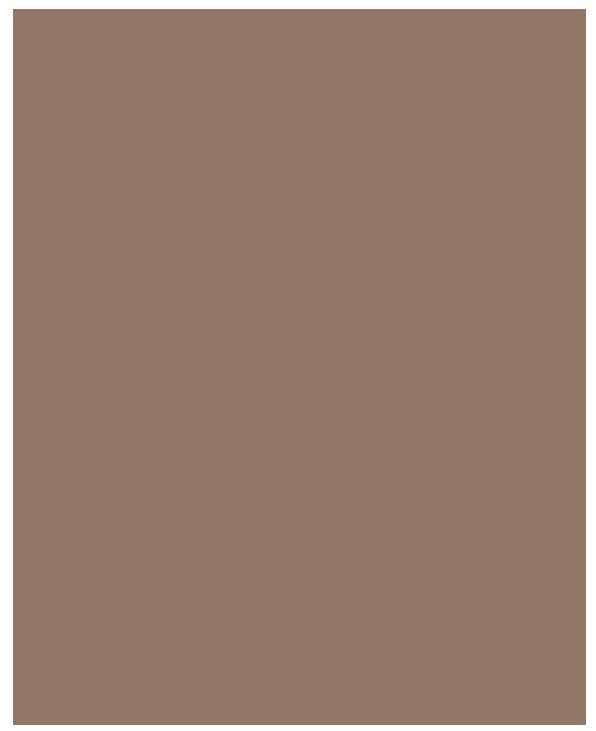 Farba Dolomit ELF 900 Brillux kolor NCS S 5010-Y50R - 10 wiader po 15l