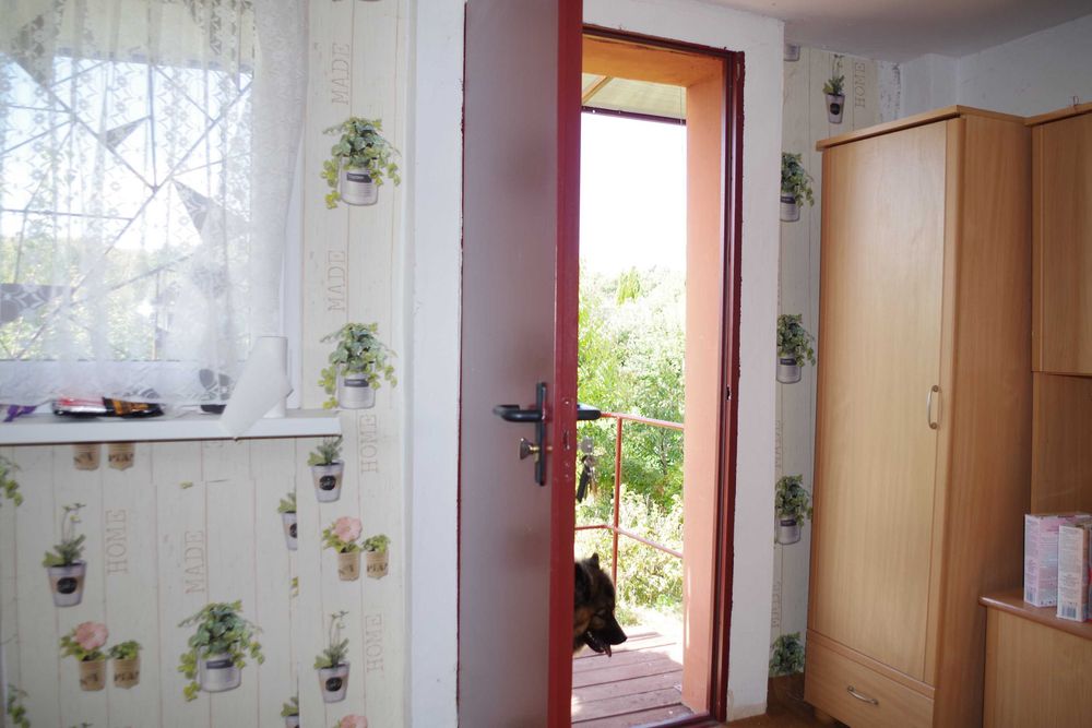 Działka Jamno ROD "Kwitnących jabłoni" z dużym potencjałem