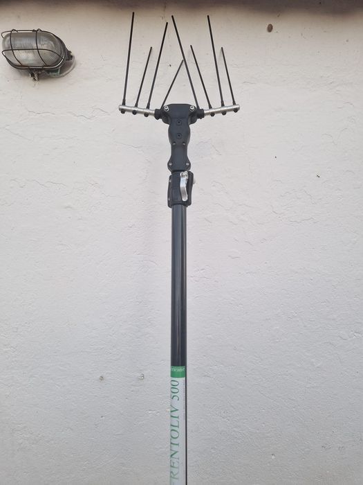Varejador de azeitona