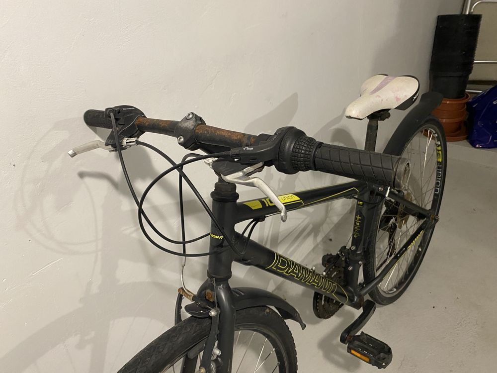 Rower Diamant 28