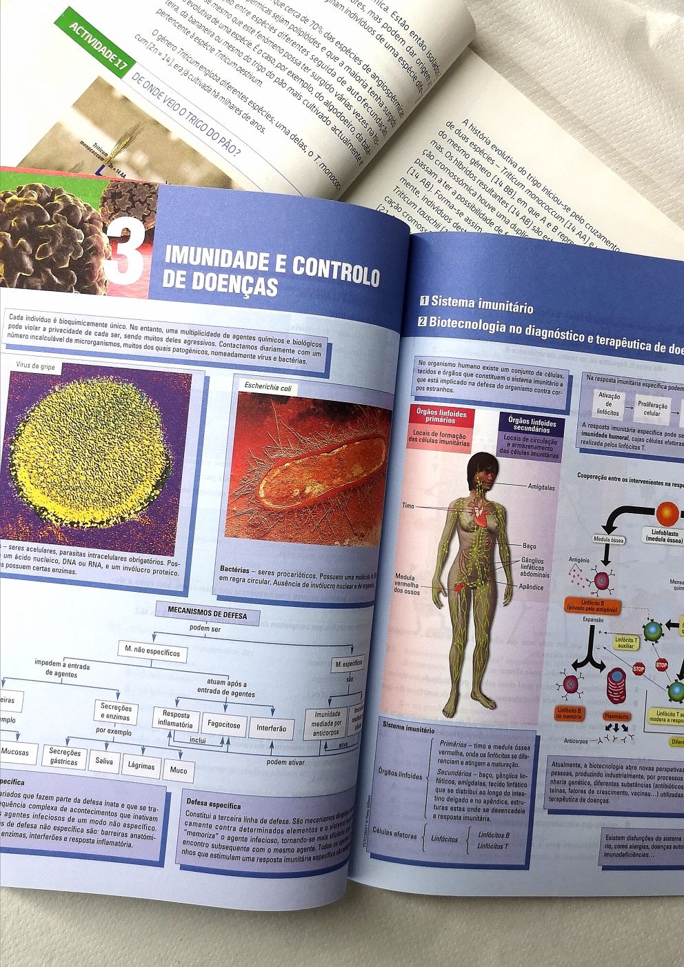 "Terra, Universo de Vida" Biologia 12ano