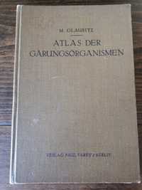 Atlas der Garungsorganismen, M. Glaubitz 1932