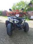 Квадроцикл Forte Hunter 125