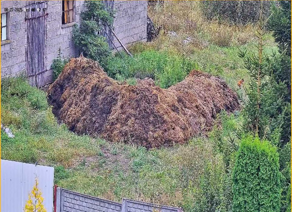 SPRZEDAM - Duże Ilości Obornika Bydlęcego