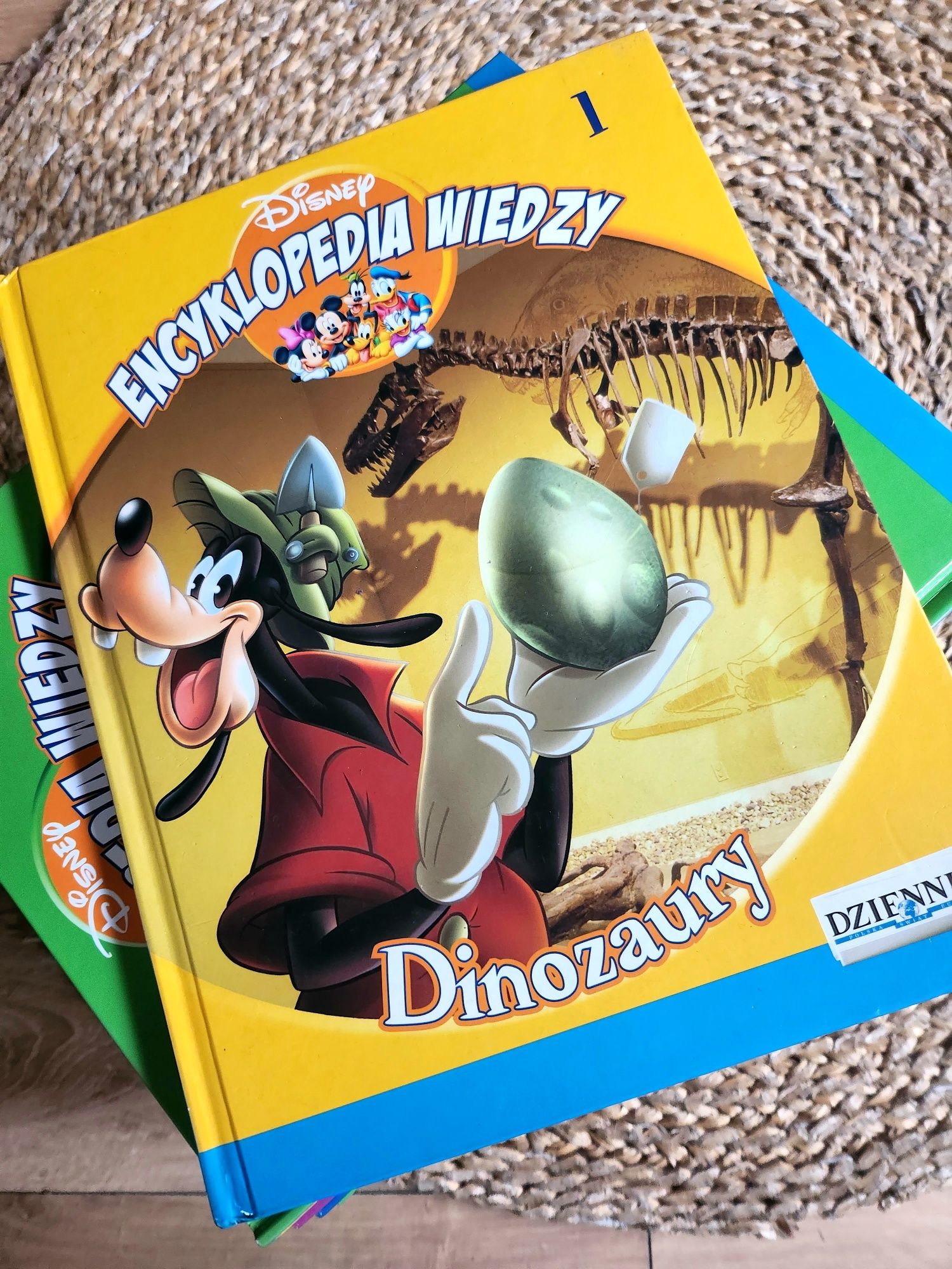 Encyklopedia wiedzy Disney 24tomy jak nowa