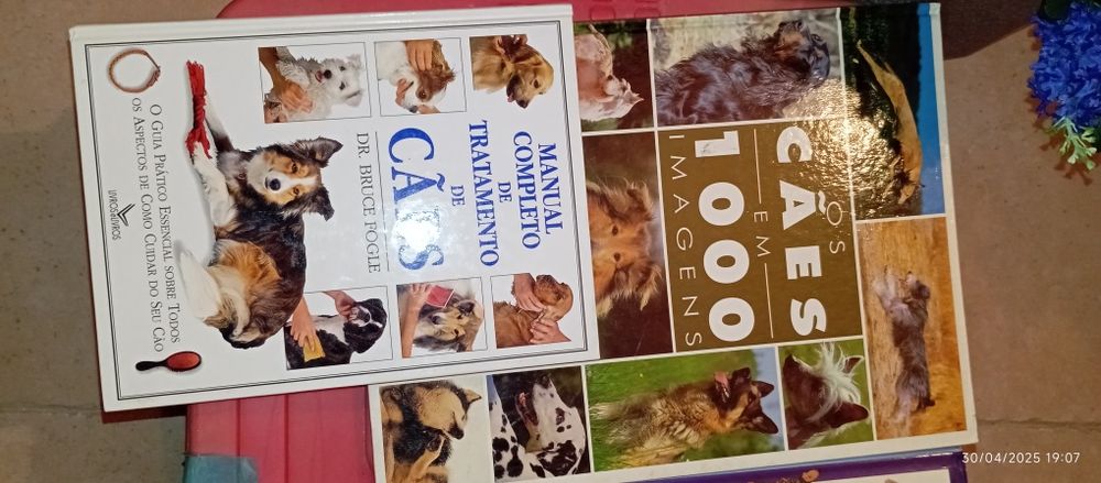 Livros variados sobre animais