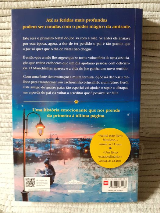 O meu cão herói  Megan Rix