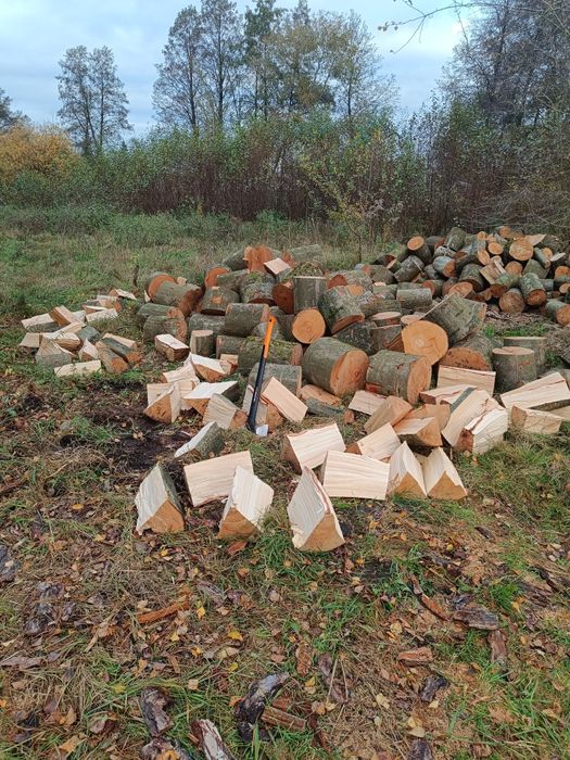 Drewno opałowe kominkowe buk dąb sosna