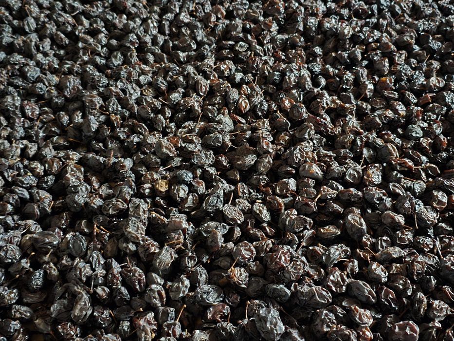 Śliwka suszona tradycyjną metodą damacha lub węgierka. Naturalna!