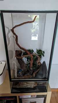 Zestaw Terrarium 40x40x80