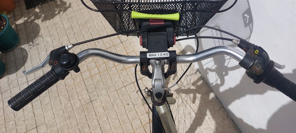 Bicicleta Senhora