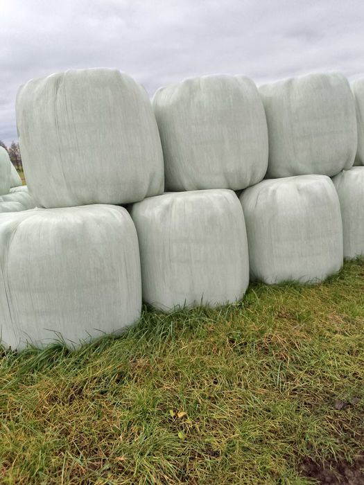 Bele sianokiszonki
