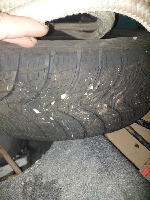 Premiorri Viamaggiore 185/60/r15 пара