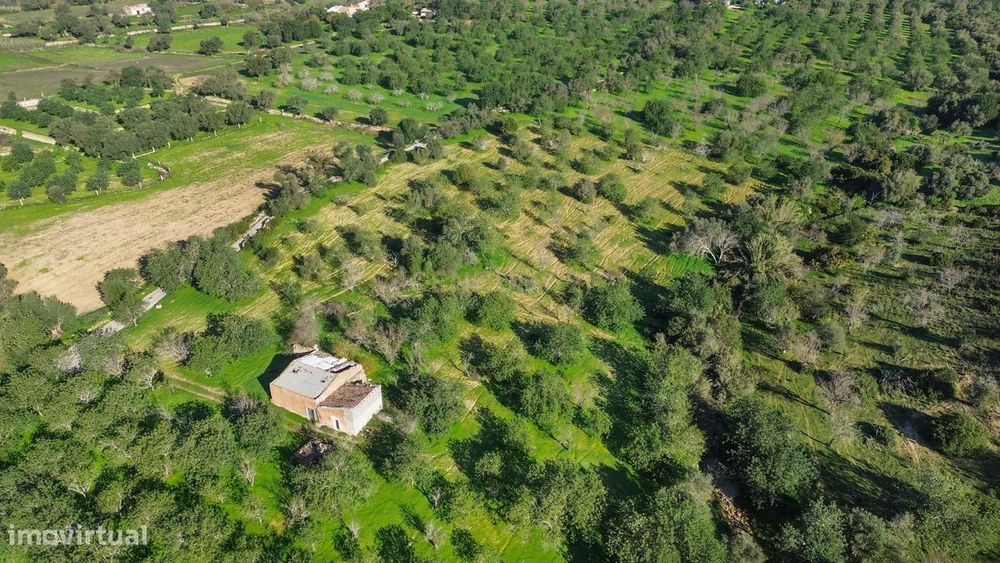 Terreno Urbano em Vale - Loulé