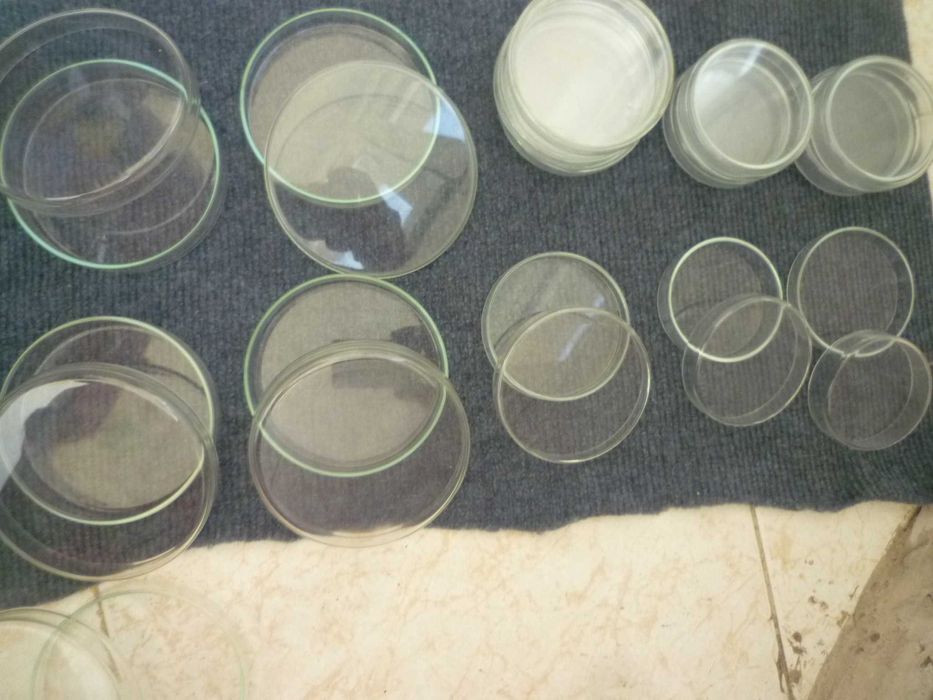 Placas de Petri  de vidro borosilicato 100mm,  80 mm, 70 mm