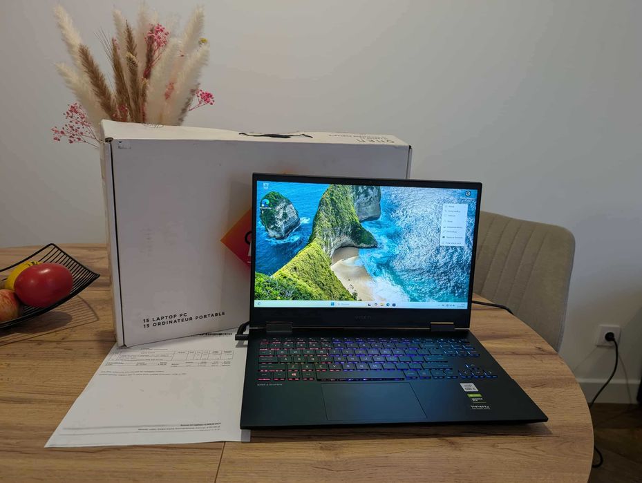 HP OMEN 15 Laptop Gamingowy i5-10300H | GTX 1660 Ti SSD 500 GB Win 11