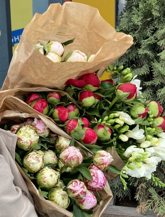 Піони оптова ціна зі складу, від 25 шт до великого опту