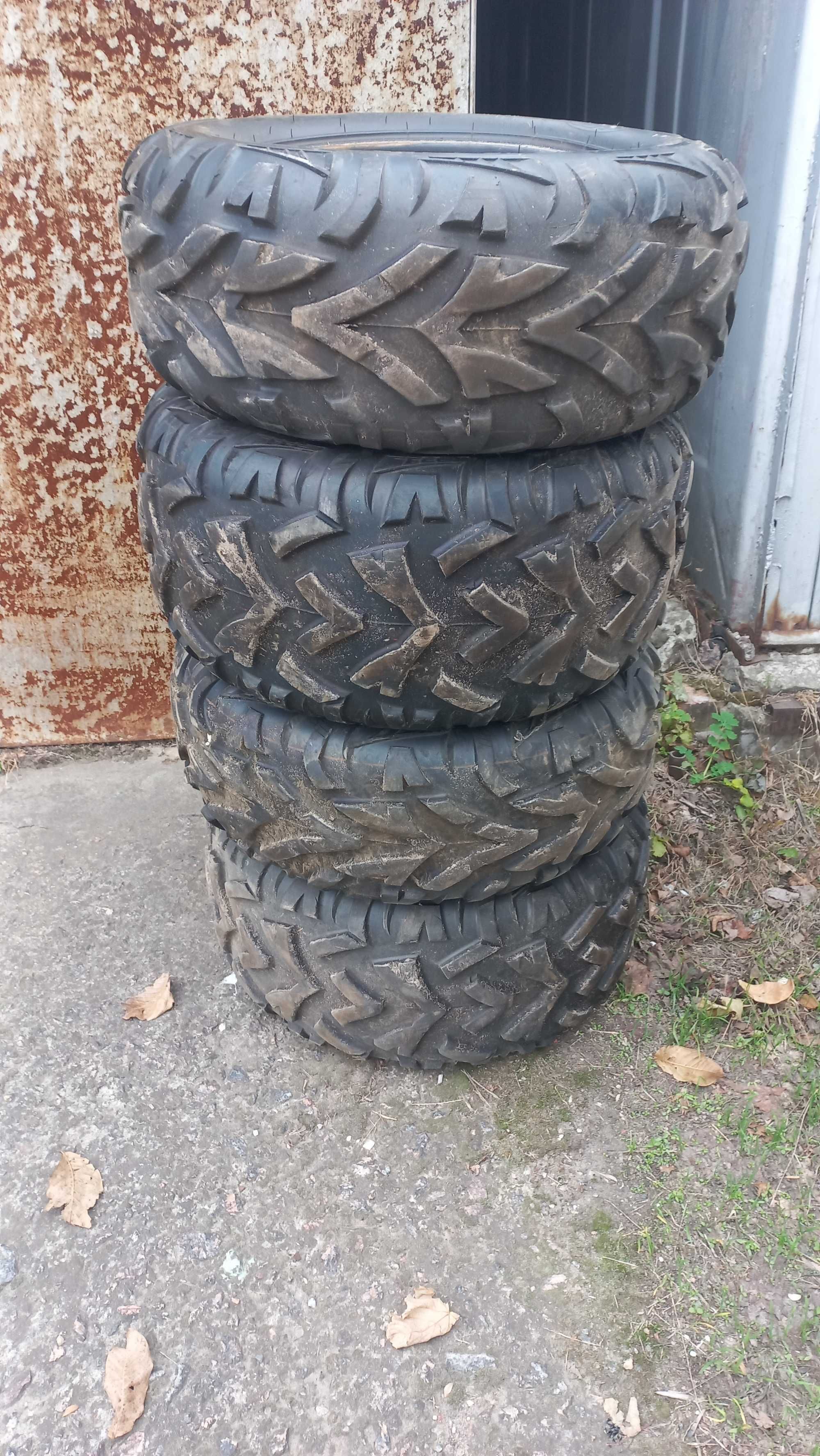 Шини до квадроцикла R 12.8/10