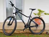 Ktm ultra fun 2020