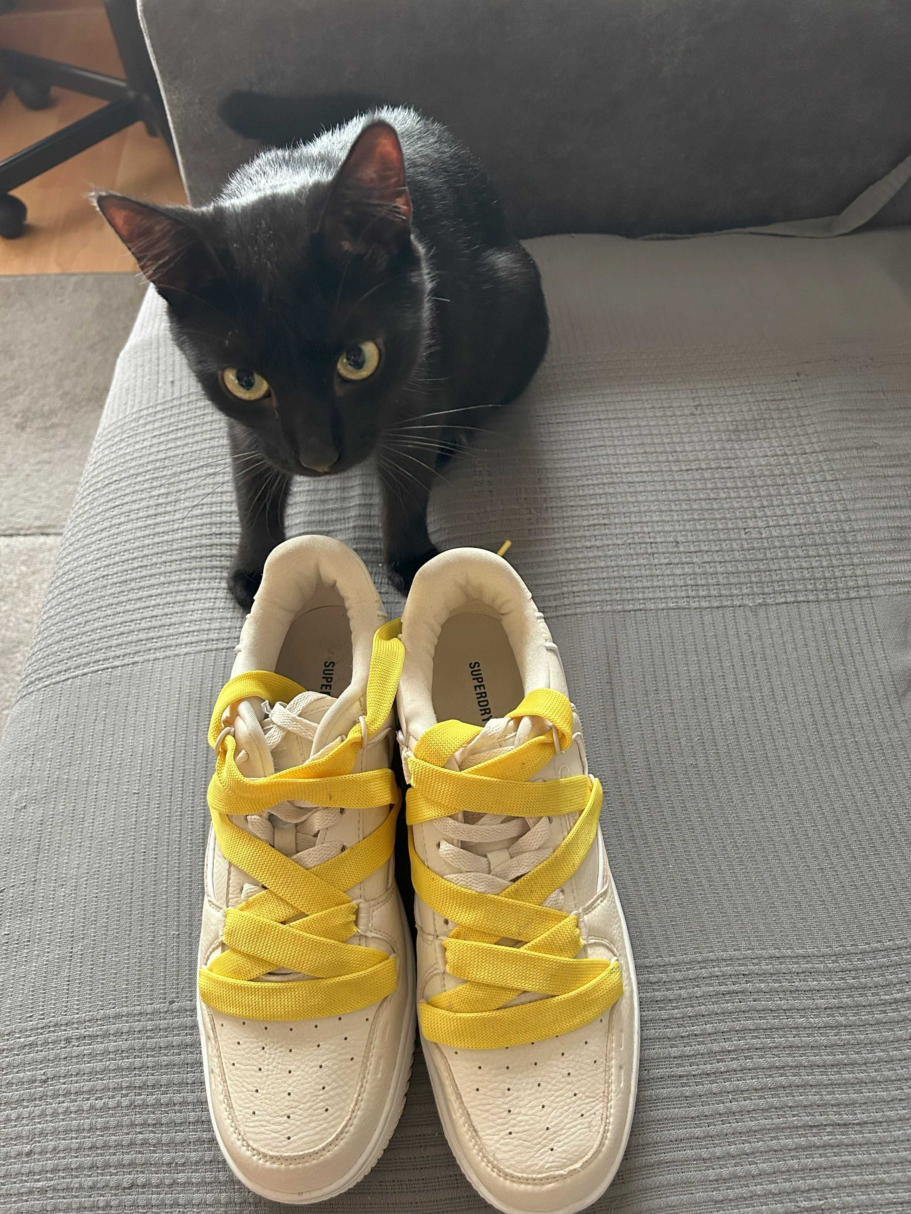 Buty męskie SuperDry rozmiar EU 45