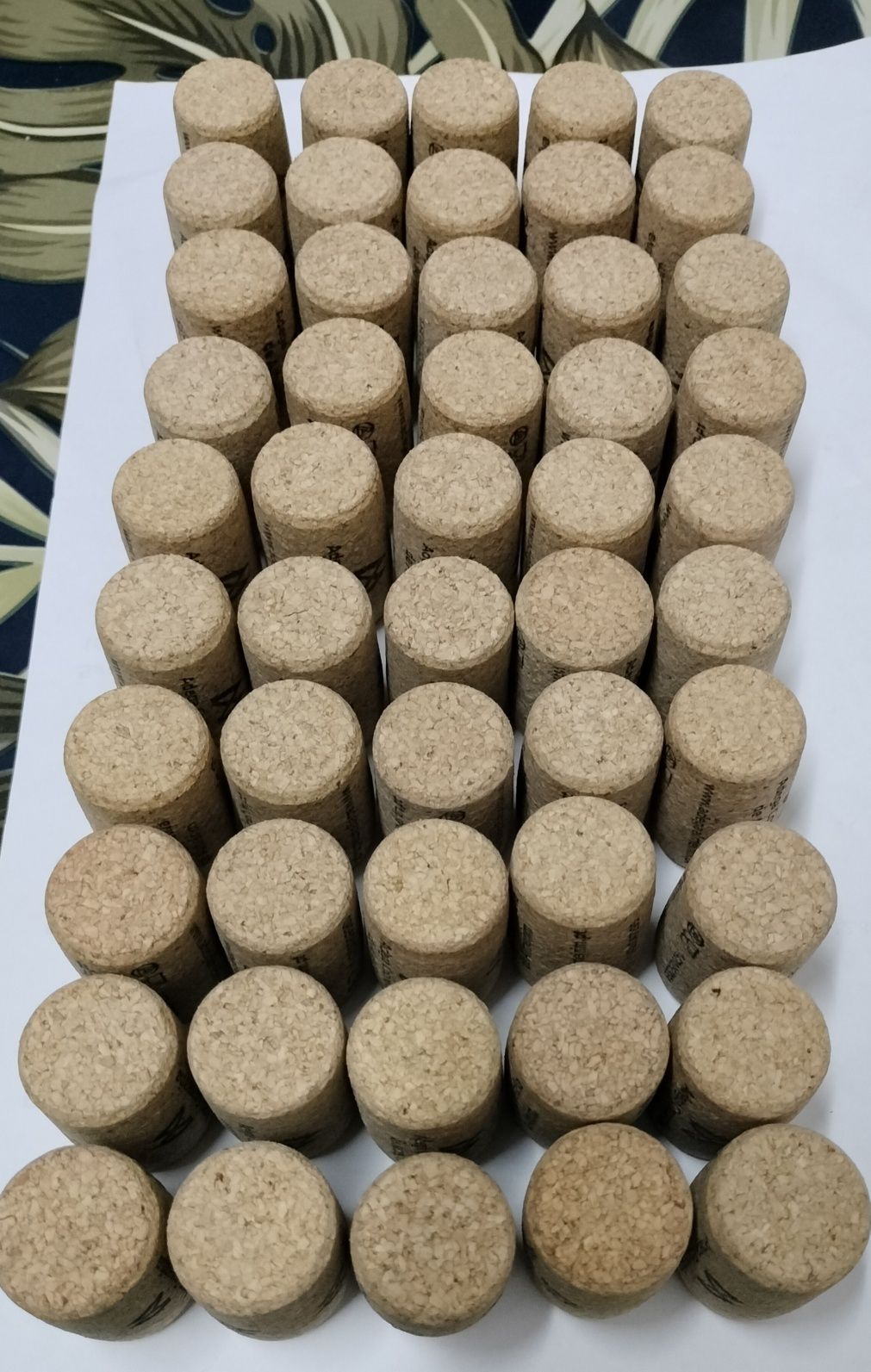 Pack de 50 Rolhas Aglomerado - Novas