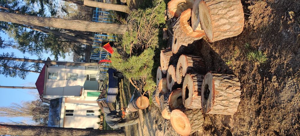 Вывоз веток, дробление, щепа, измельчение веток.