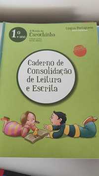 Livros de atividades 1 ano