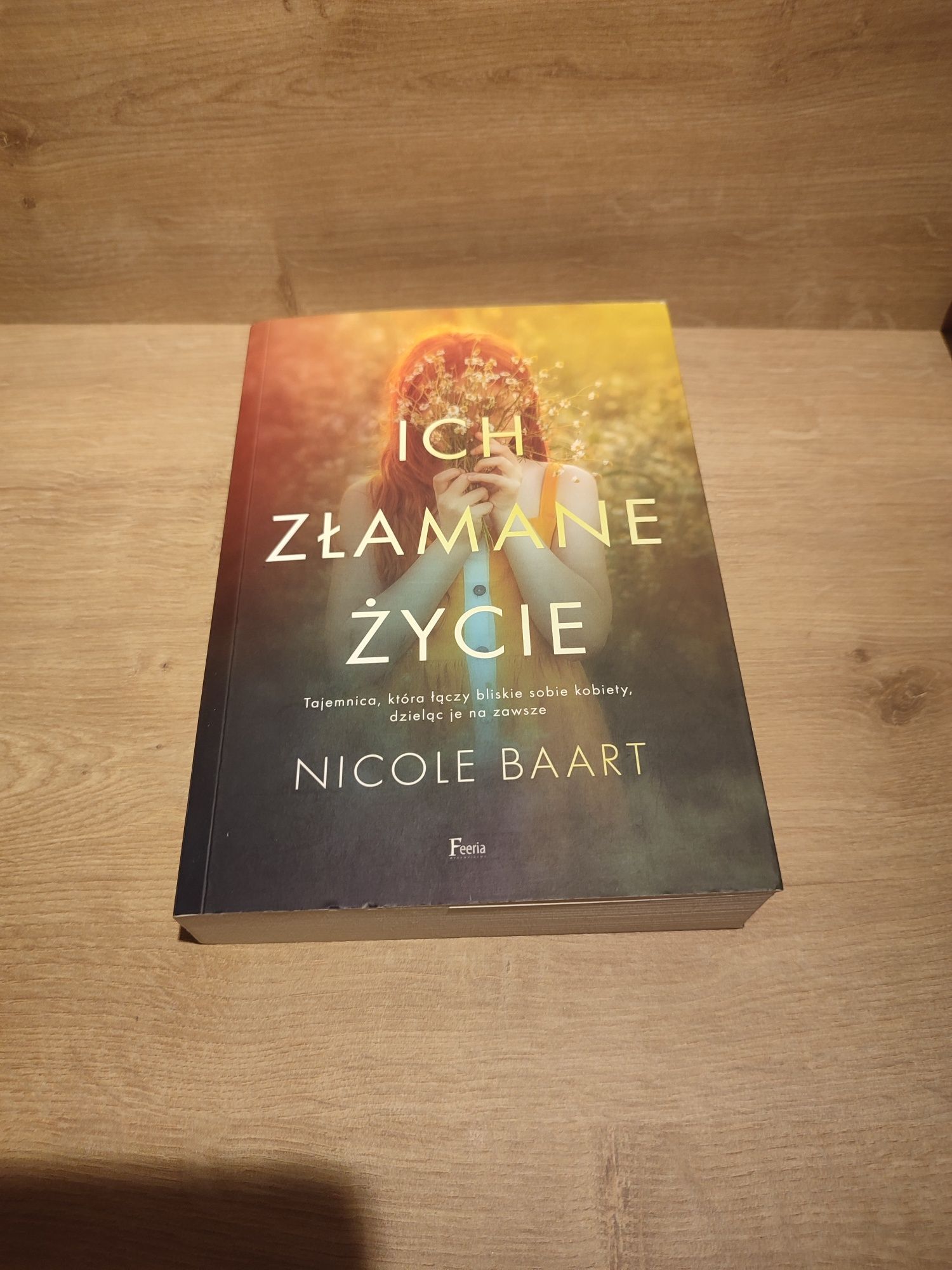 Książka Ich złamane życie Nicole Baart