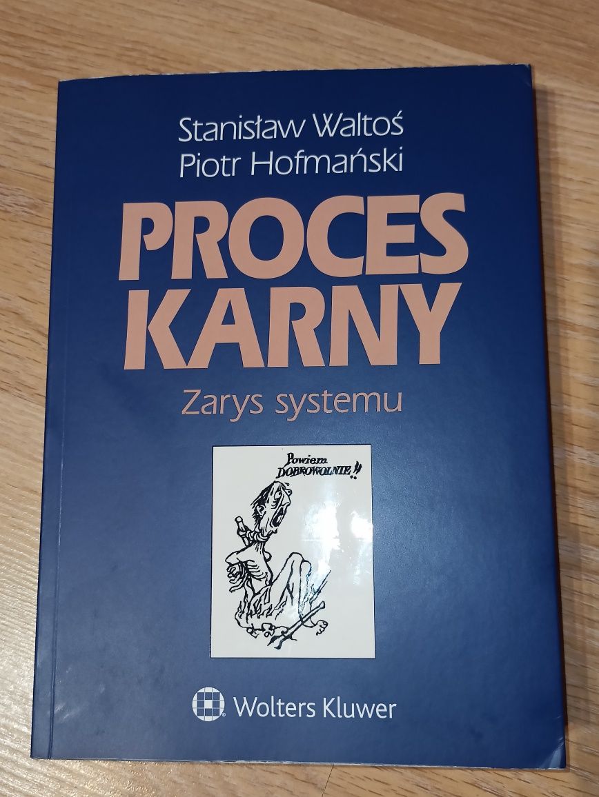 Proces Karny Zarys Systemu