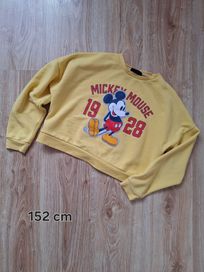 Bluza Mickey rozmiar 152 cm