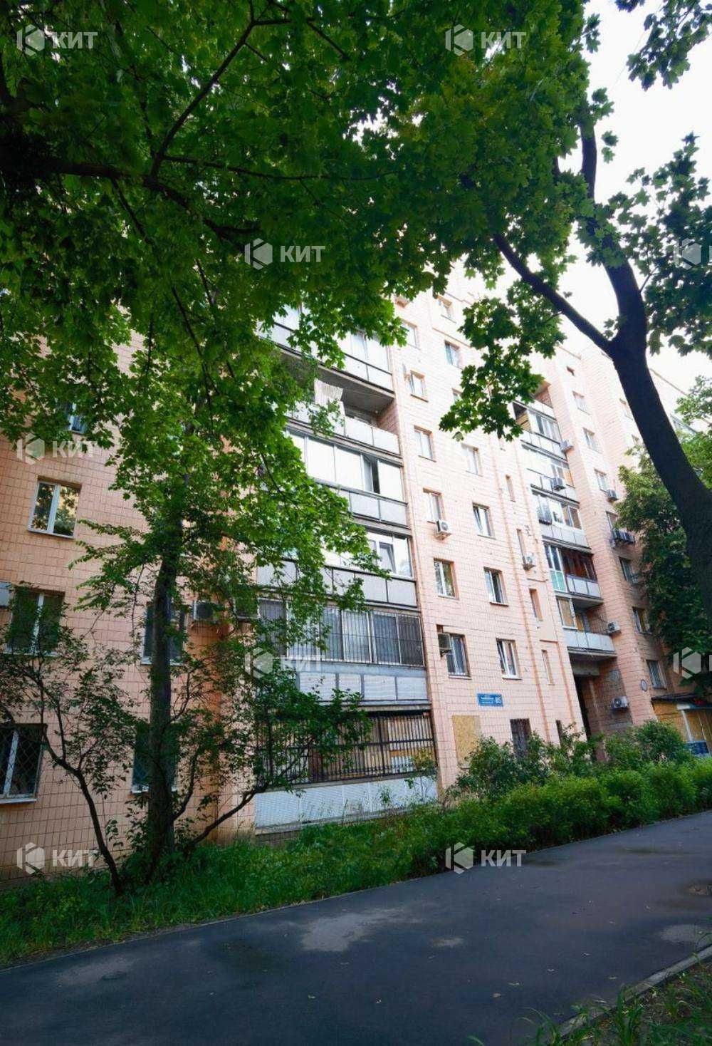 2к, 50м2 Центр (ул Чернышевская 85, м. Пушкинская) 128907