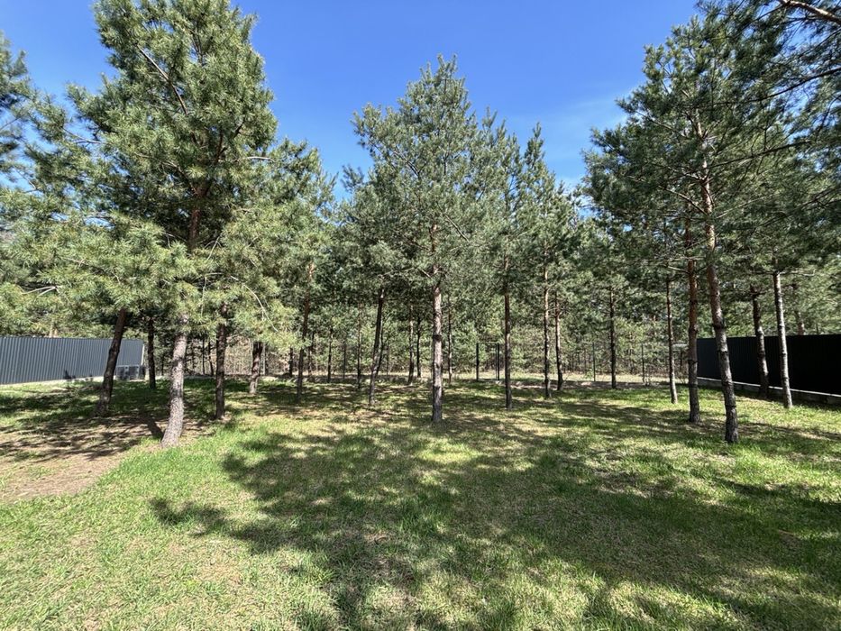 Будинок з виходом у ліс (заповідна зона) 25 соток під Києвом Бобриця