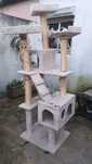 Casinha para gato