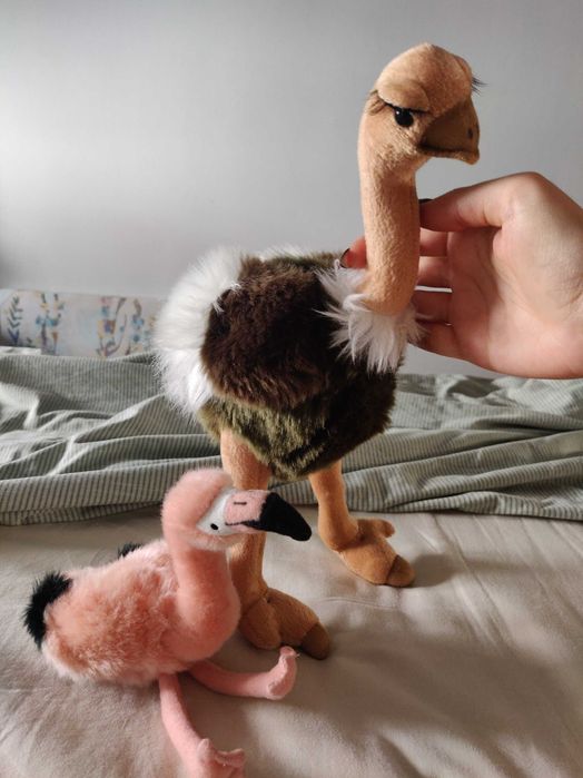 Conjunto de Peluches