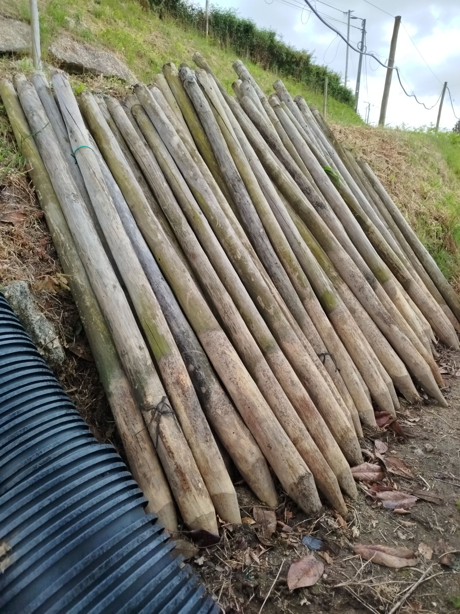 Postes de Madeira Tratada 2,5 metros